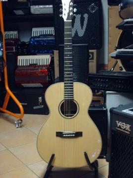 Barrios professional chitarra  acustica-