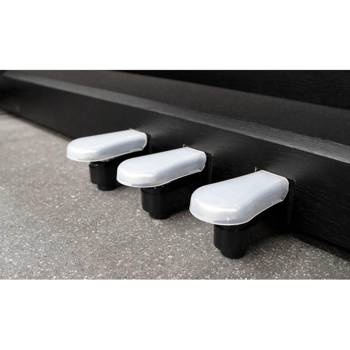 Fbt Echord Dpx-100 Pianoforte 88 tasti pesati nero satinato