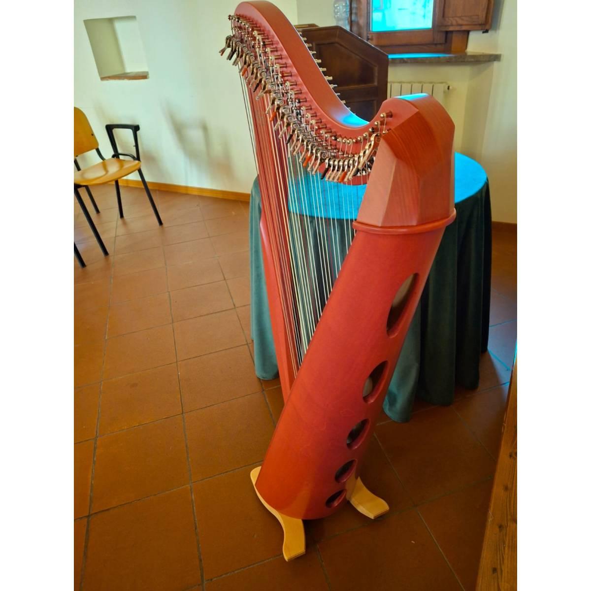 Salvi Harps Arpa 34 corde modello Mia finitura ciclamino