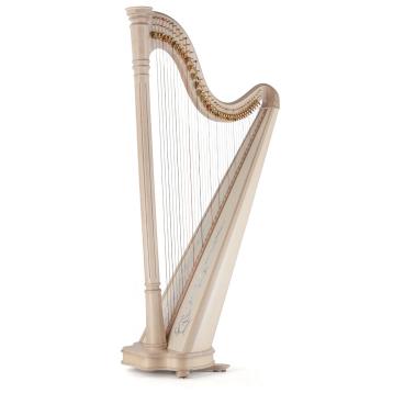 Salvi harps 40 corde modello ana deluxe finitura acero