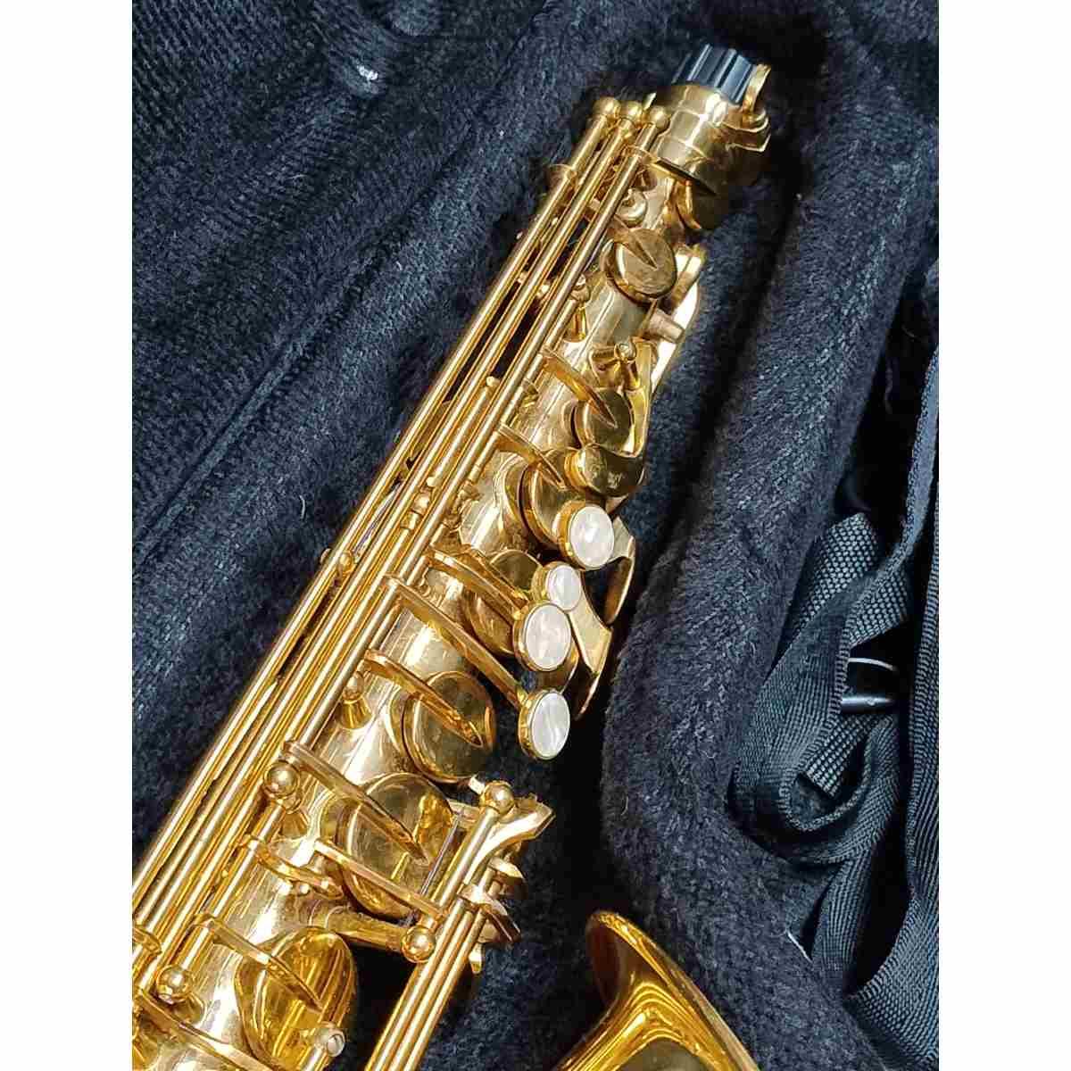 LA RIPAMONTI 30SX-LAR Master sax alto, usato