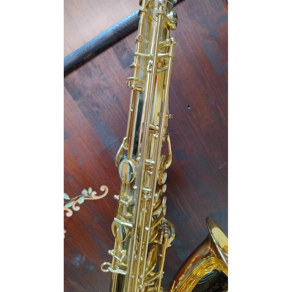 Borgani Royal Winds RTS55 Sax Tenore, usato