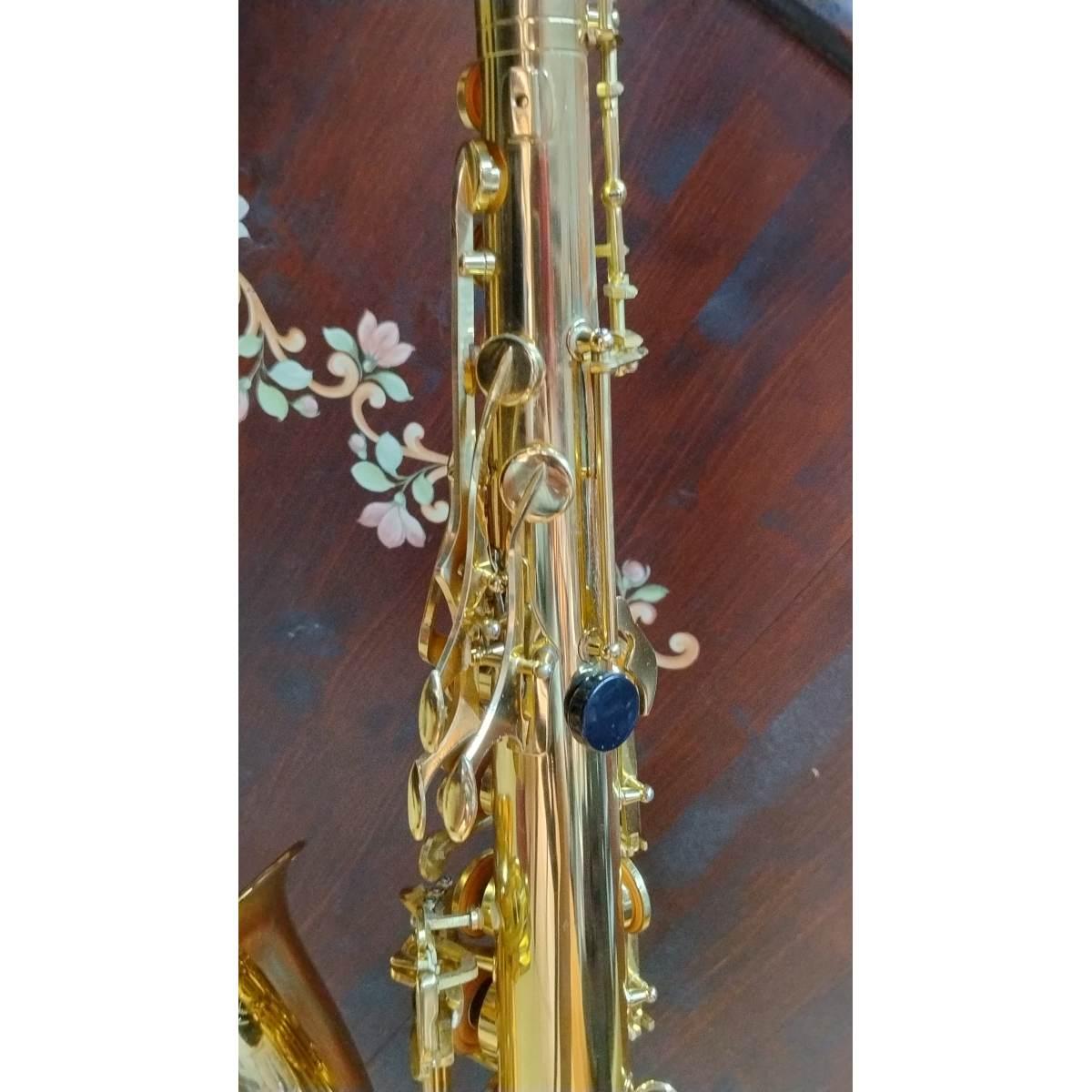 Borgani Royal Winds RTS55 Sax Tenore, usato