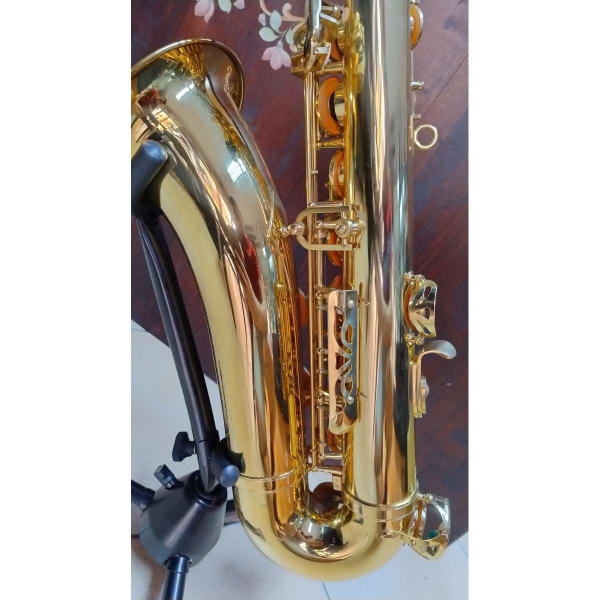 Borgani Royal Winds RTS55 Sax Tenore, usato
