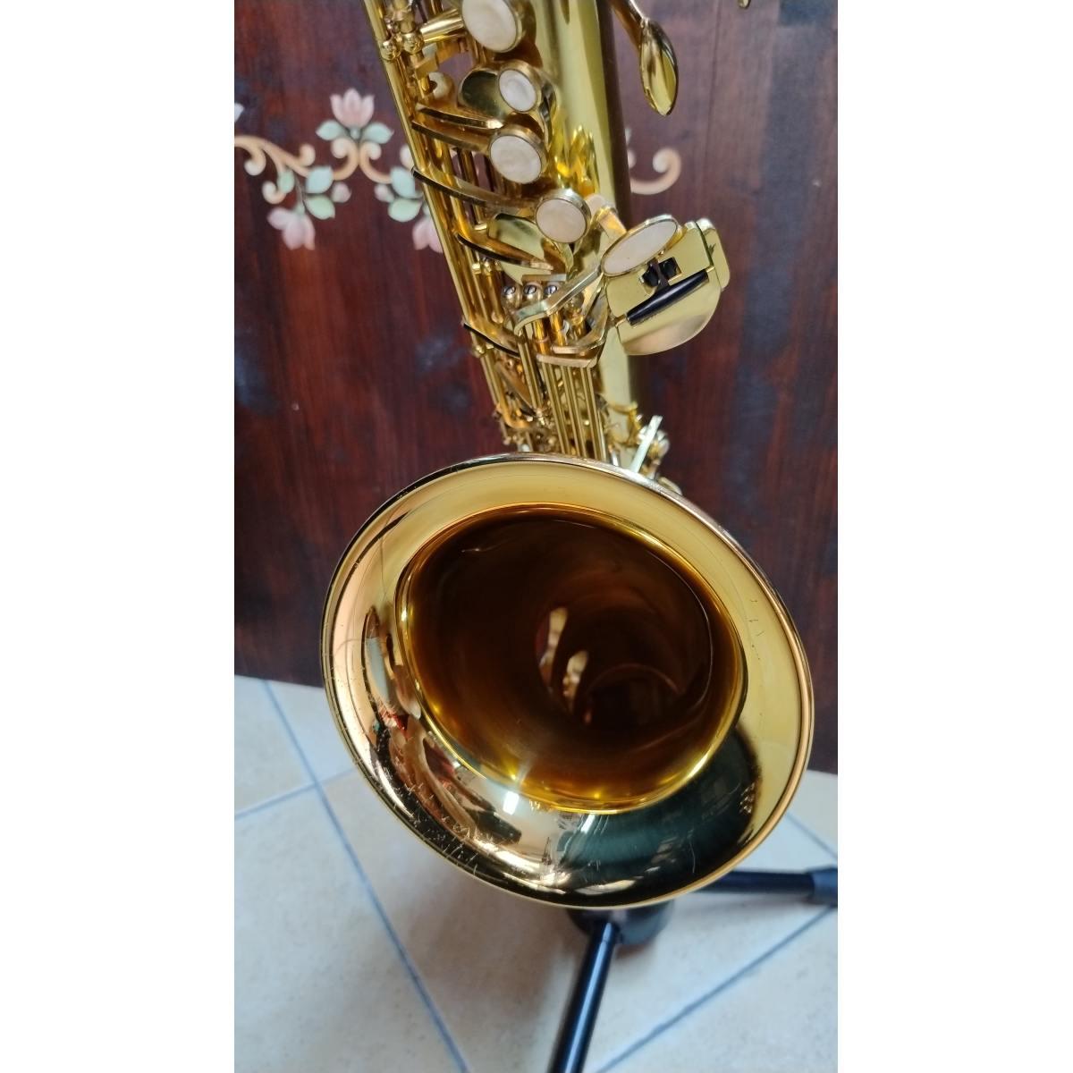 Borgani Royal Winds RTS55 Sax Tenore, usato