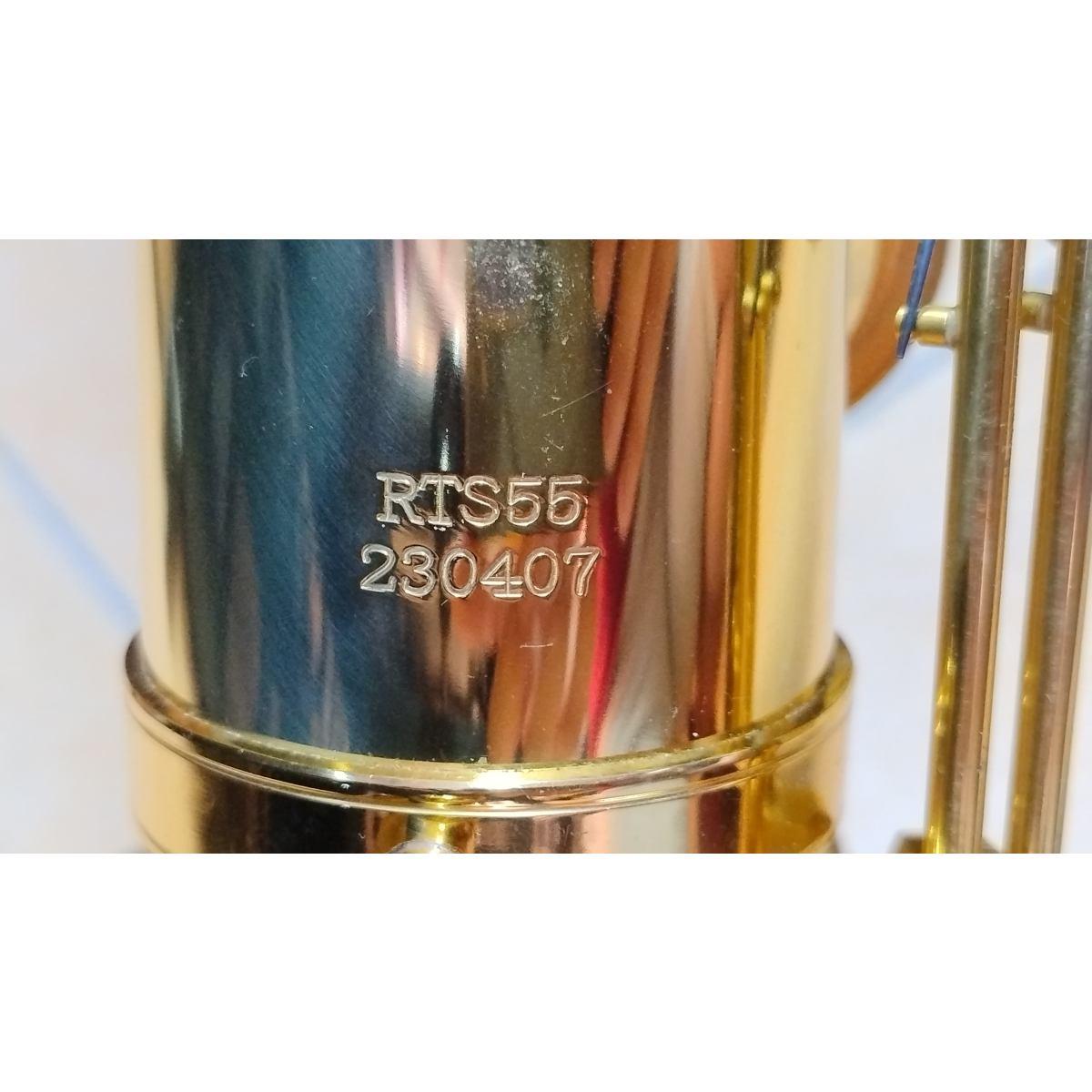 Borgani Royal Winds RTS55 Sax Tenore, usato