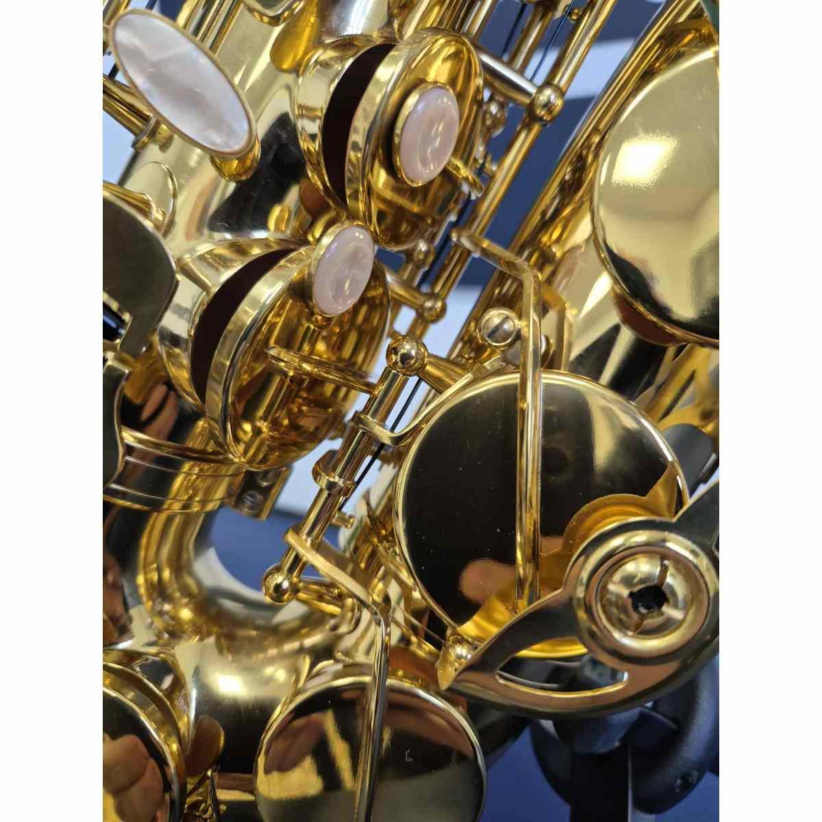 Borgani Royal Winds RAS30 - THE ONE - Sax Alto