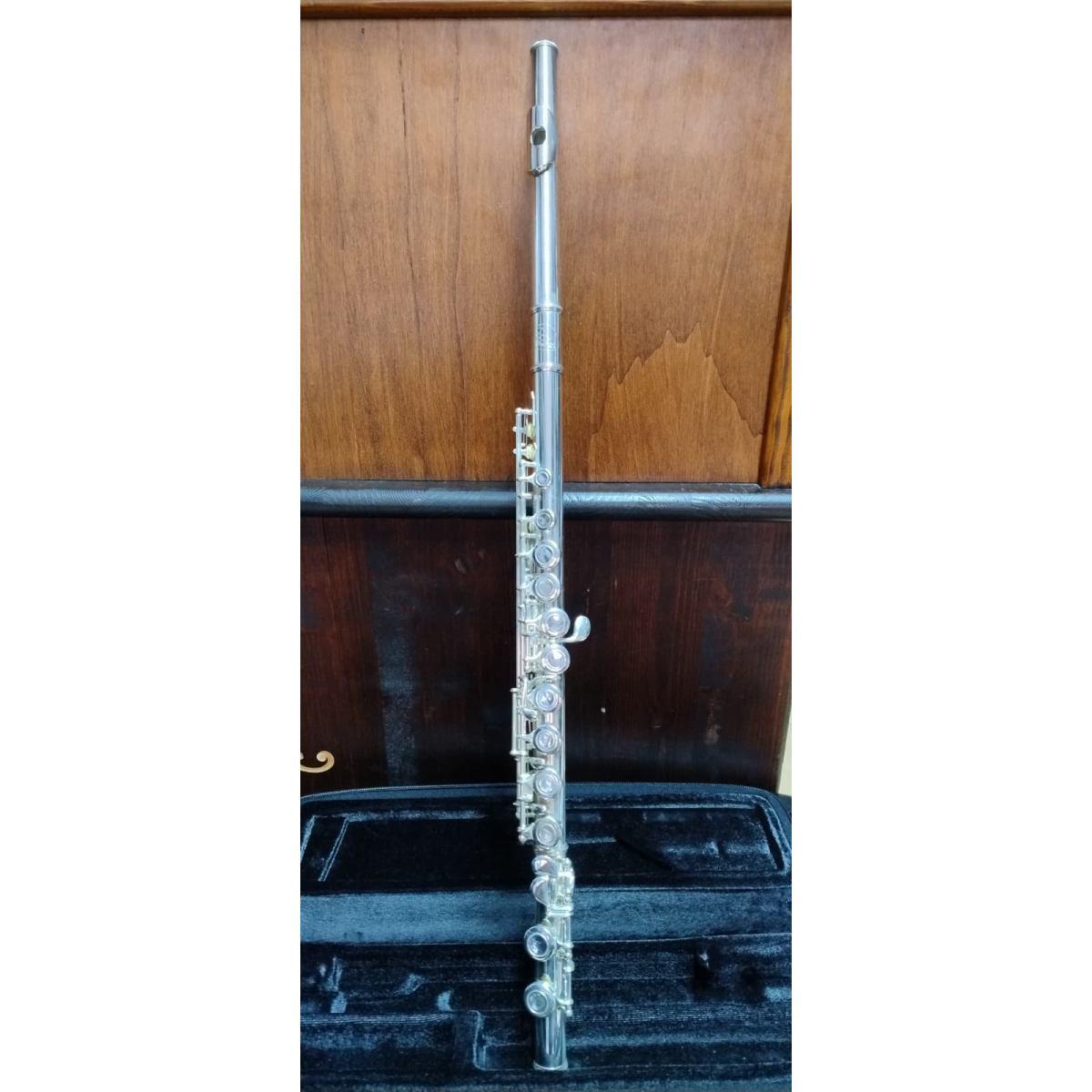 Borgani Royal Wind RFL35 Flauto traverso usato