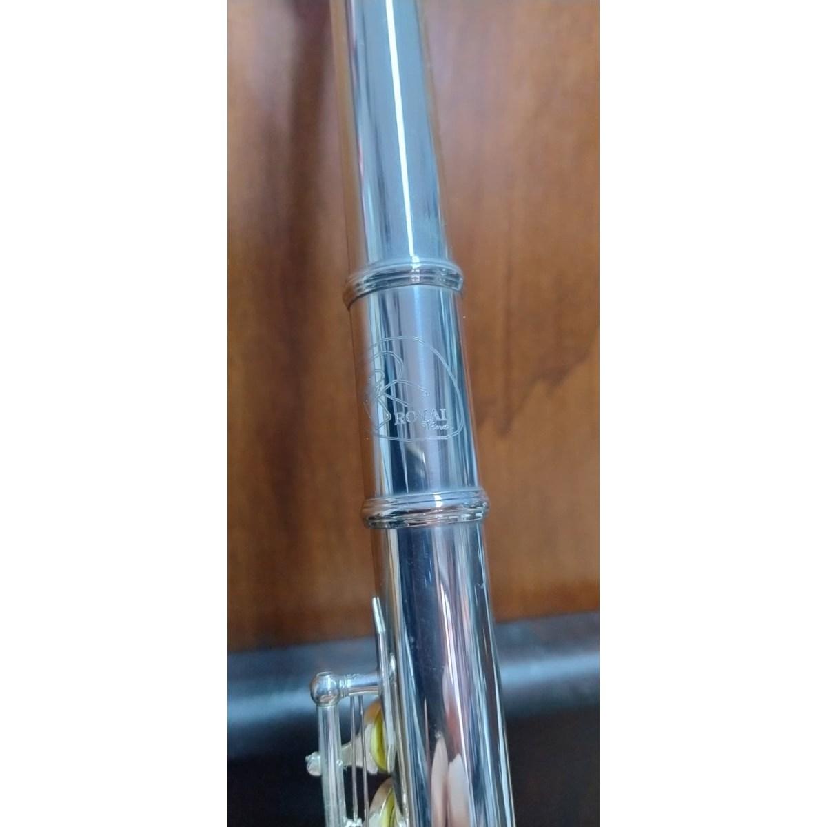 Borgani Royal Wind RFL35 Flauto traverso usato