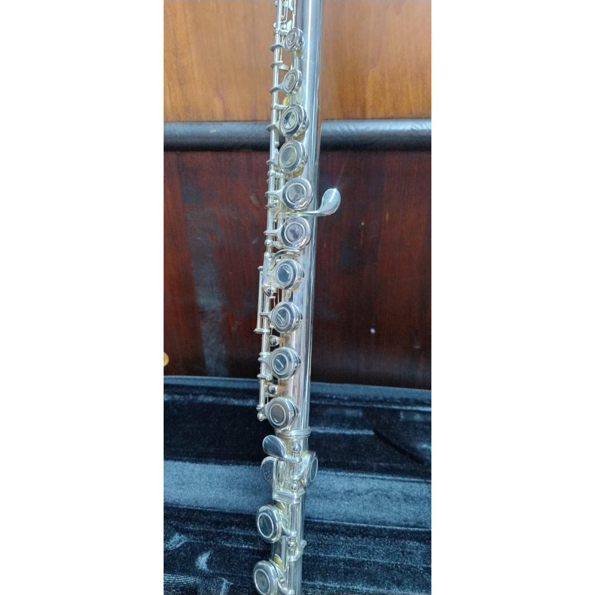 Borgani Royal Wind RFL35 Flauto traverso usato