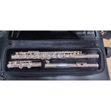 Borgani Royal Wind RFL35 Flauto traverso usato