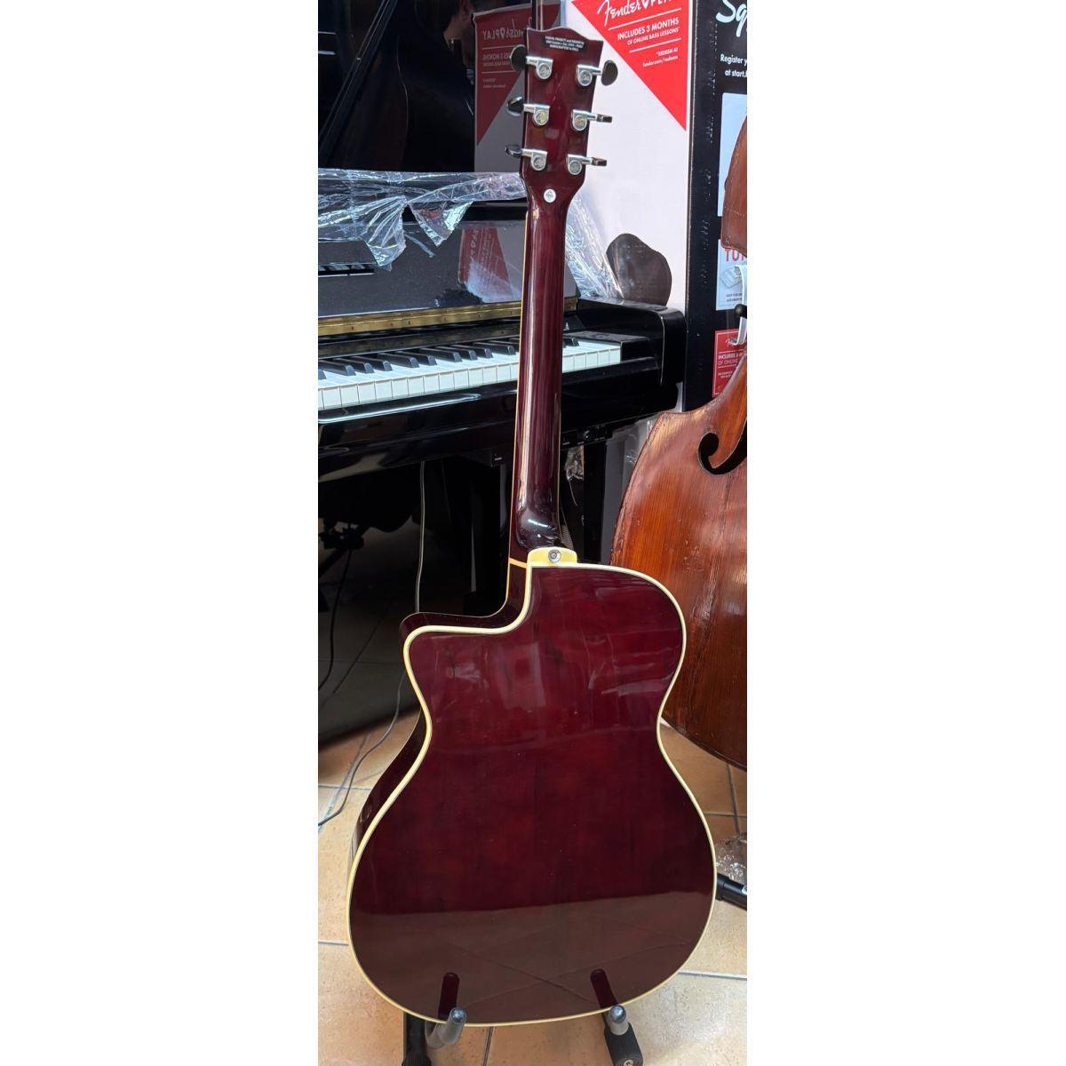 EKO NXT 018CWEO Chitarra acustica elettrificata con custodia Usata